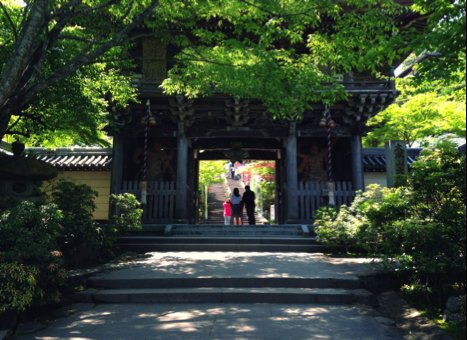 ⛩️ 영춘산 대조원(레이신잔 다이쇼인) 이미지 7